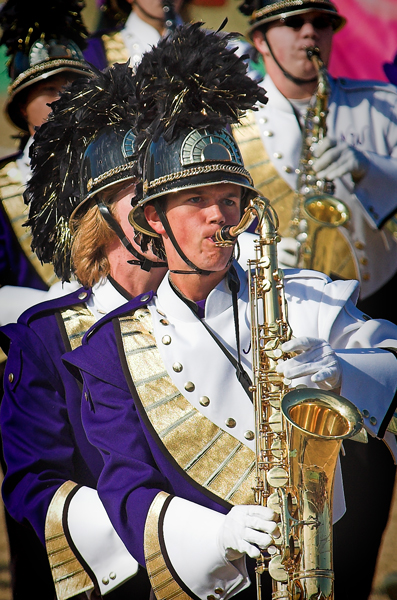 DSC_8602-01A3dic.jpg