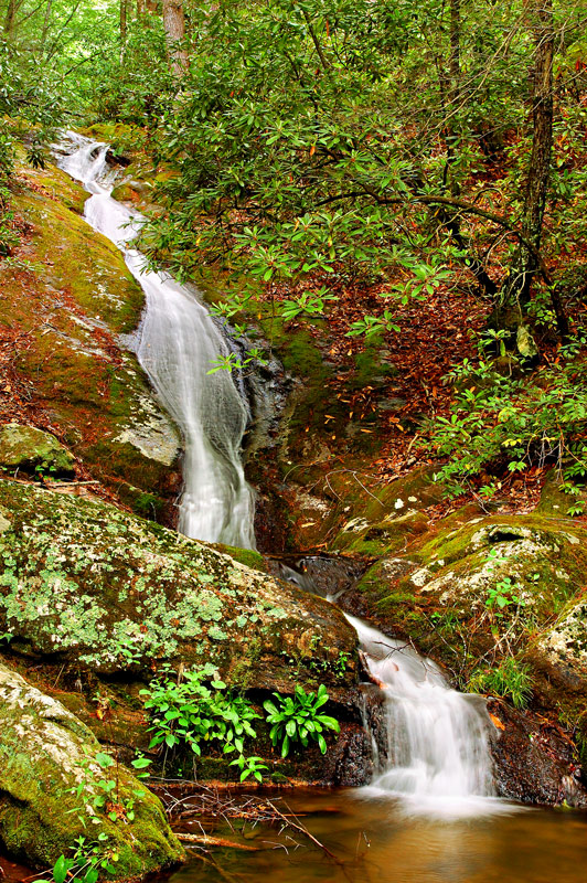 Waterfall on Tributary of Anthony Creek