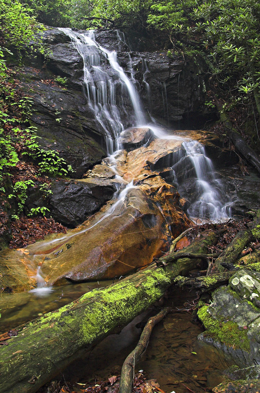 Waterfall on Log Hollow Branch