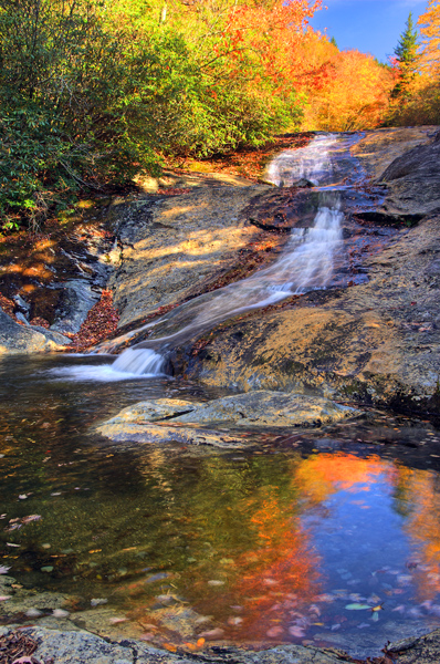 Bubbling Brook Branch