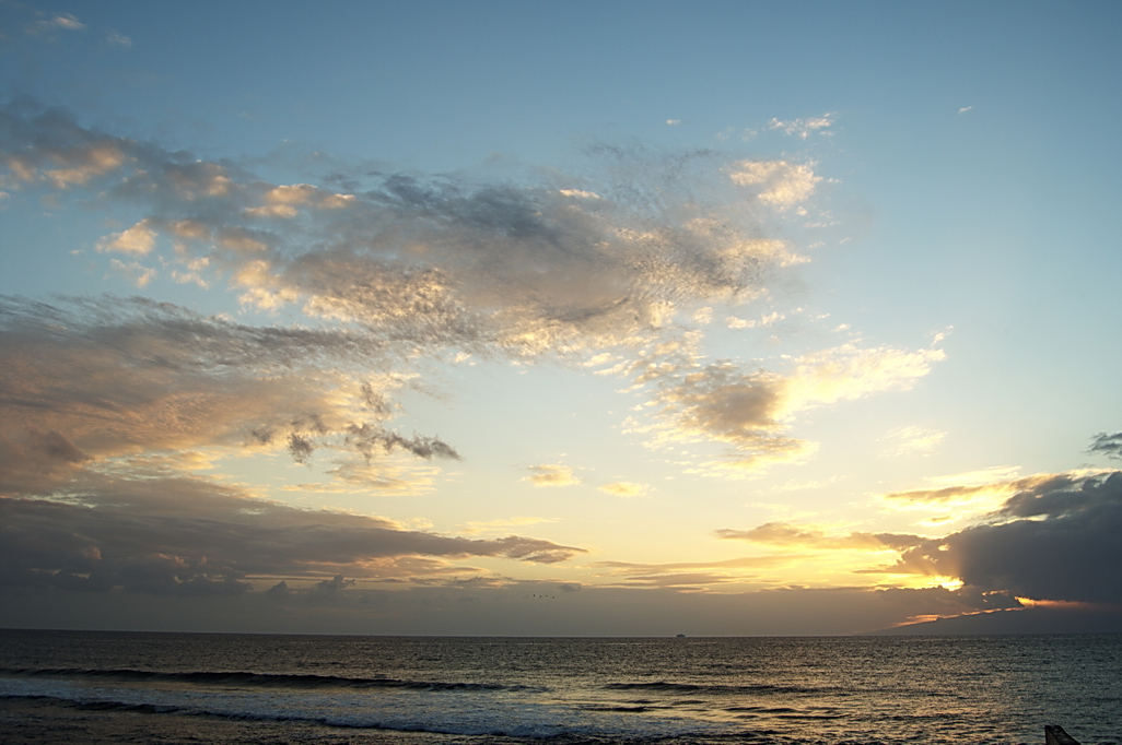 DSC_1214.JPG