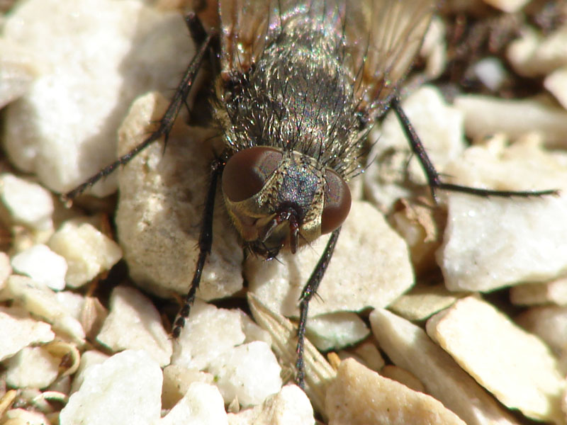 March 21, 2009<br><font size=2>Getting Closer</font>