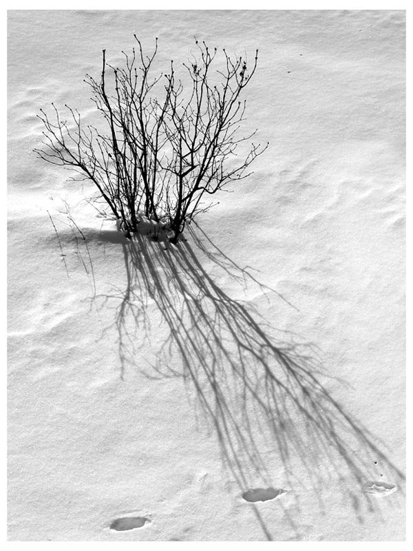 December 8, 2006<br><font size=2>Sony 132<br>Seasons<br>Crossing Shadows<br><font size=1>Eligible <b>6th place</b></font></font>