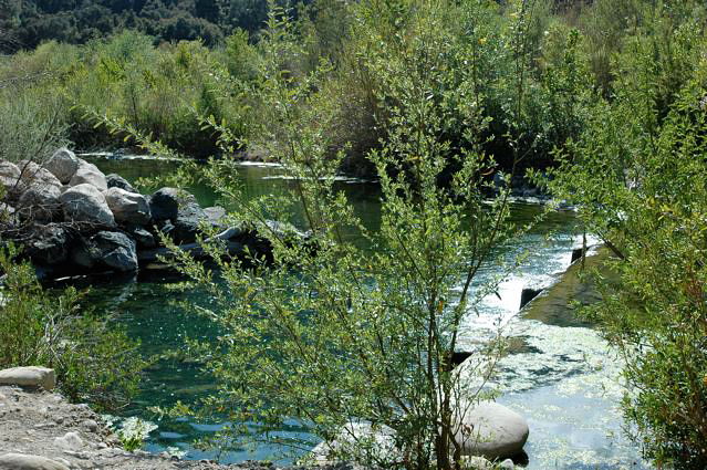 Ojai DSC_5917.jpg