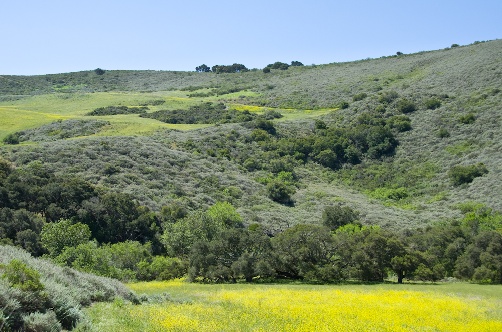 Jalama-Rd-5.jpg
