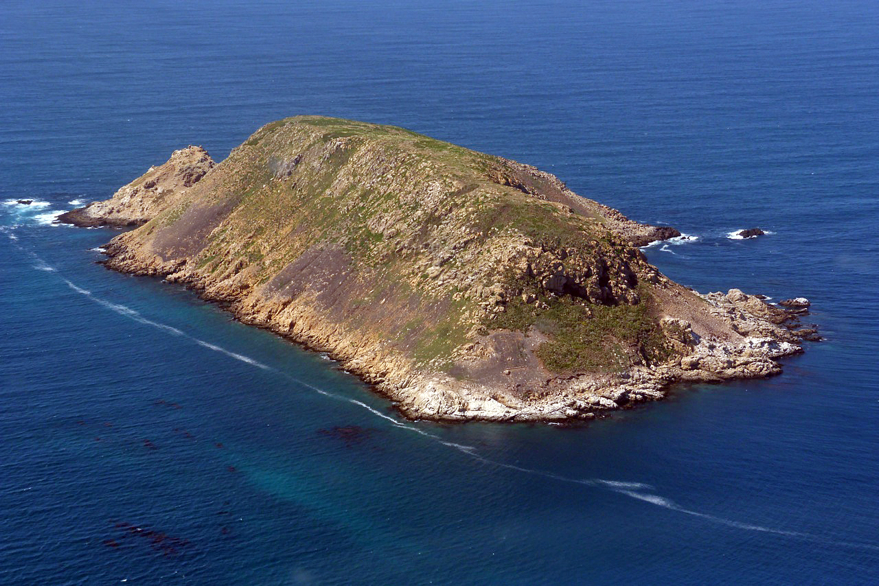 Chap. 10-22, Prince Island by Peter Gaede