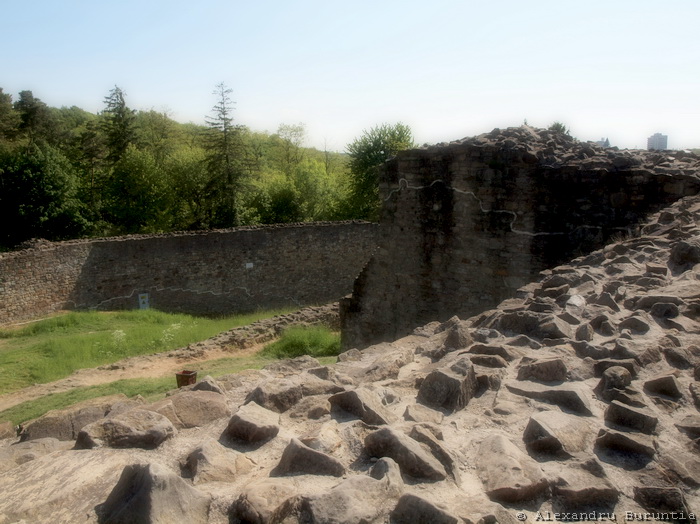 Cetatea de scaun Suceava
