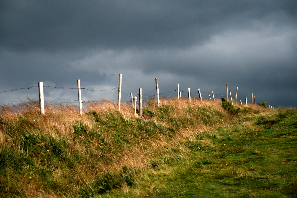 a long and windy path.