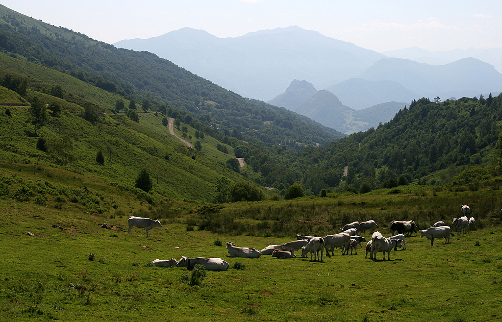 la valle de Bethmale.