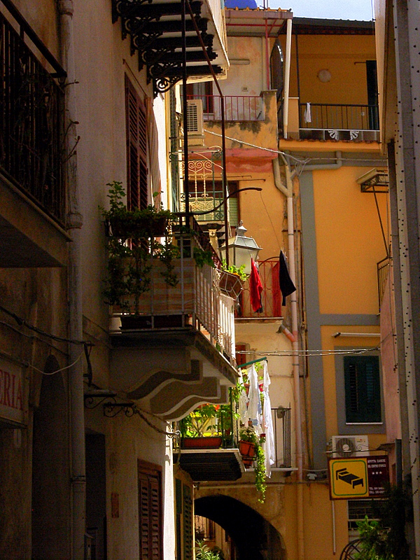 P1270050-1.JPG