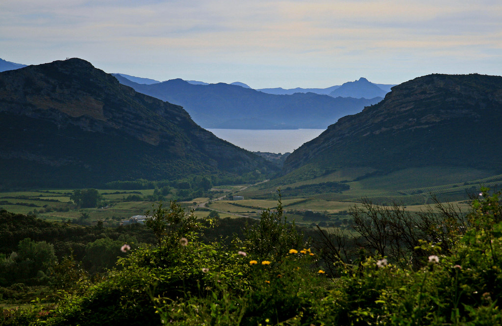 etang de Biguglia