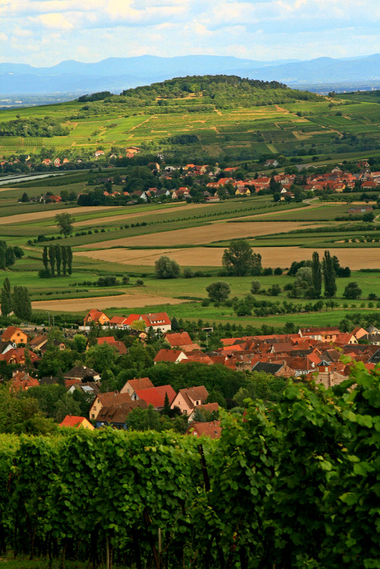 westhoffen