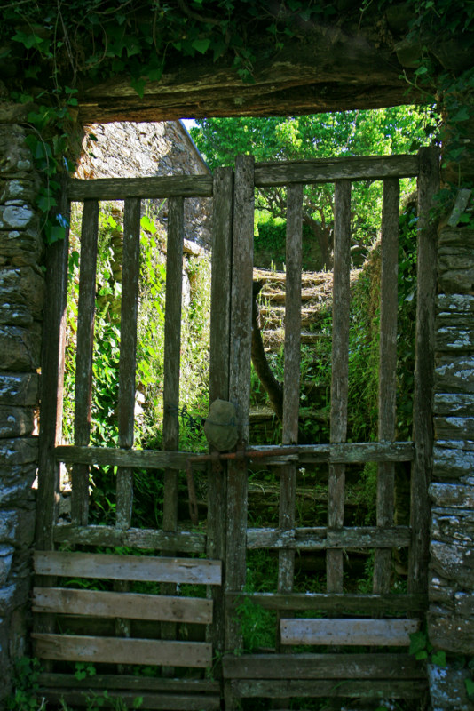 the old wooden gate.