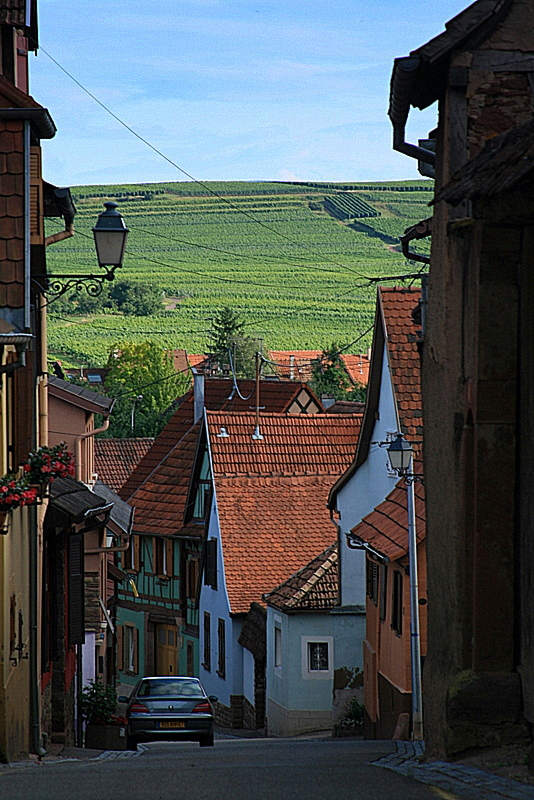 a lane in westhoffen