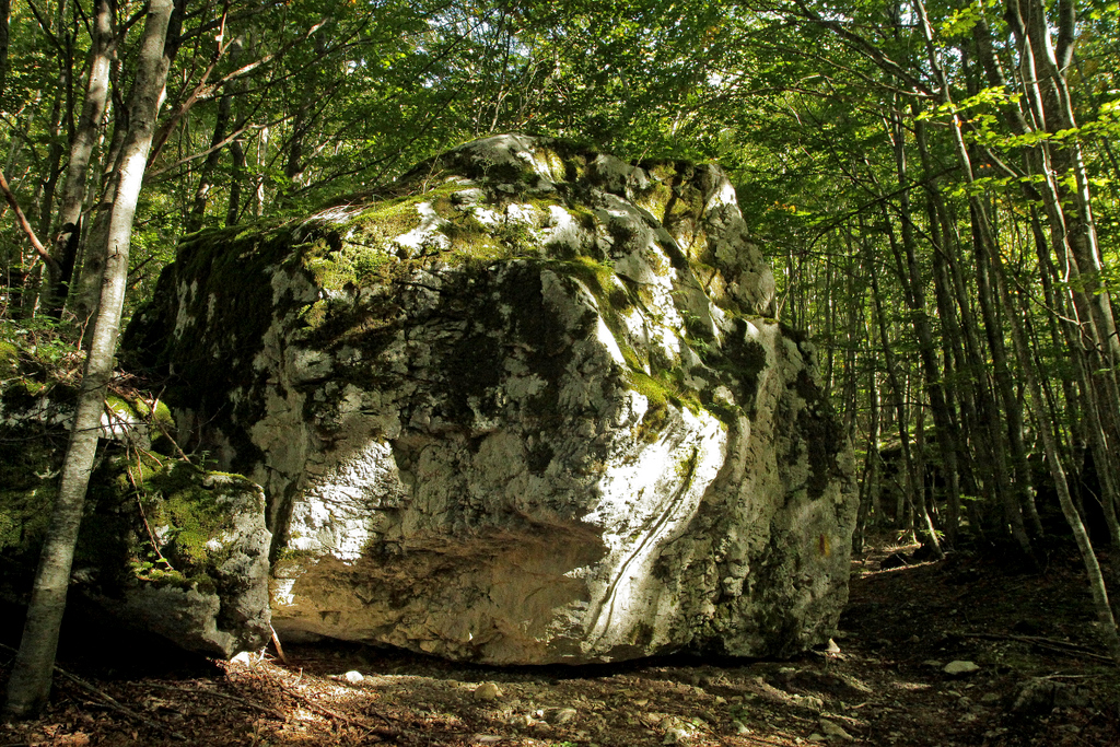 forest of Pietracamela