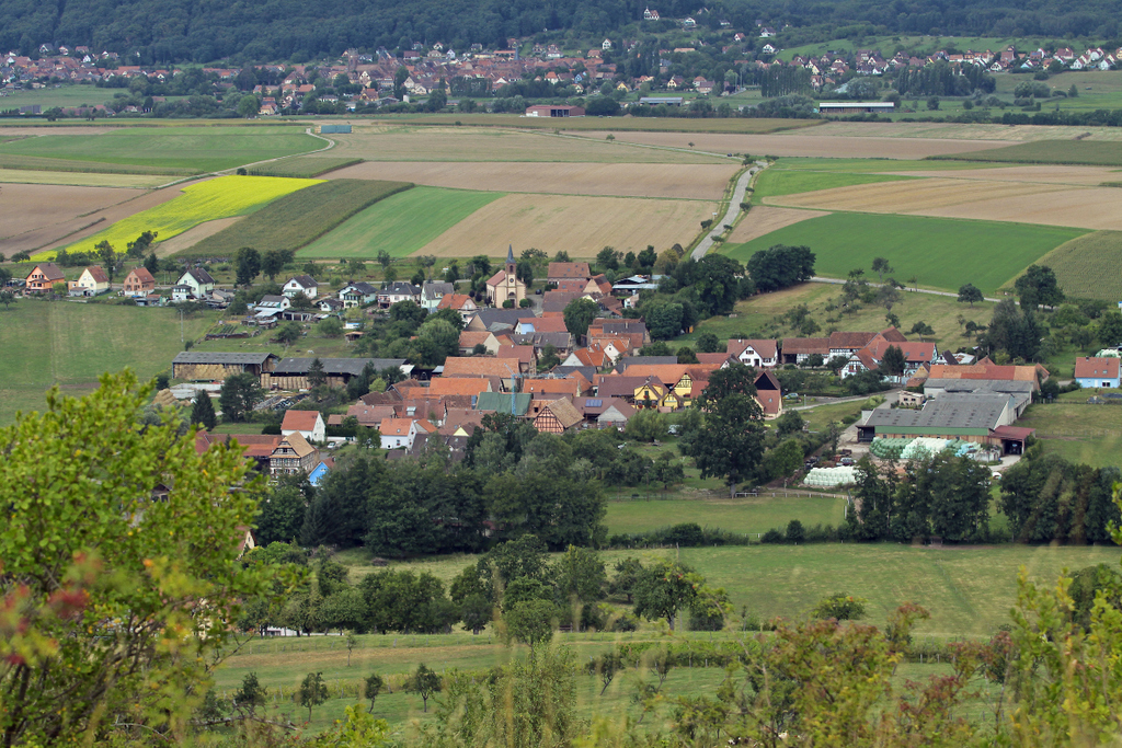 Griesbach le Bastberg
