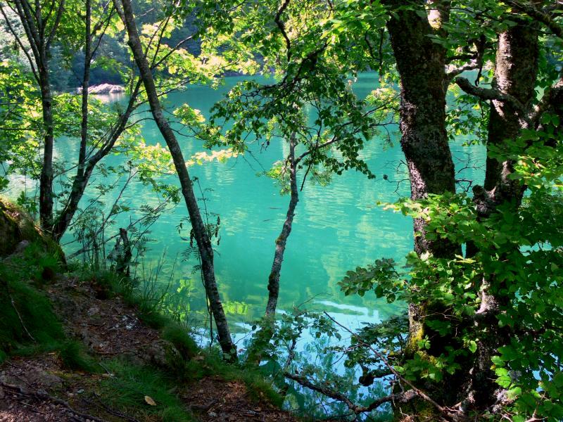 le lac des perches.