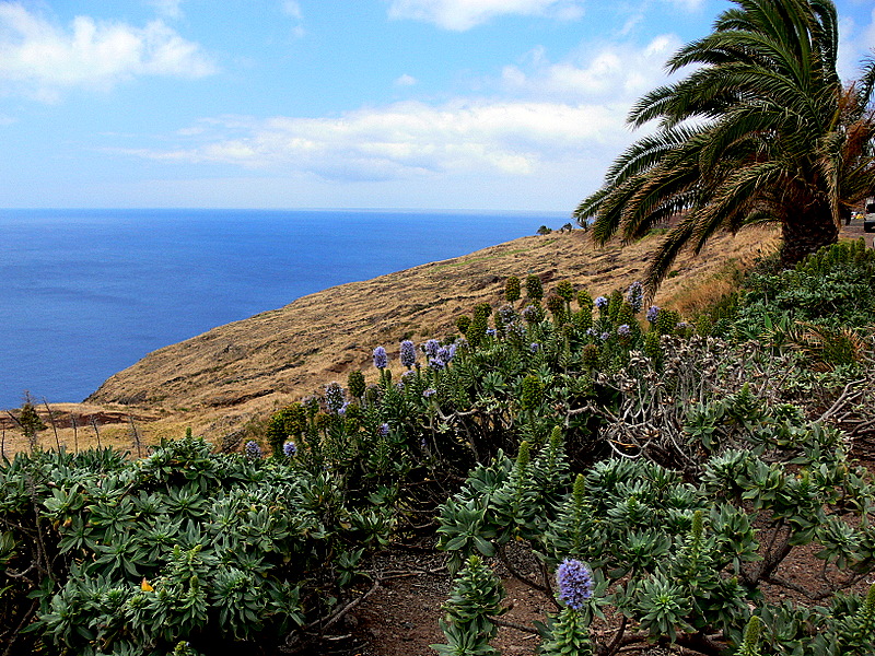 Ponta de So Loureno
