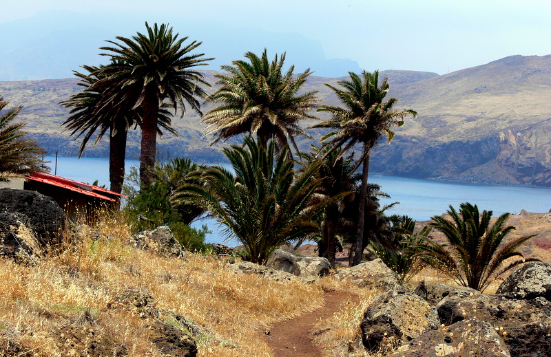 Ponta de So Loureno