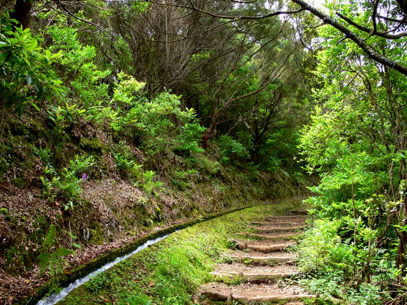 the path along the canal.
