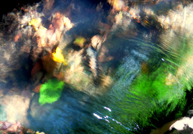 levadas reflections.