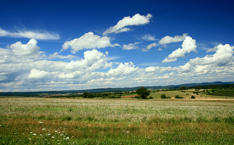 lt en Alsace.