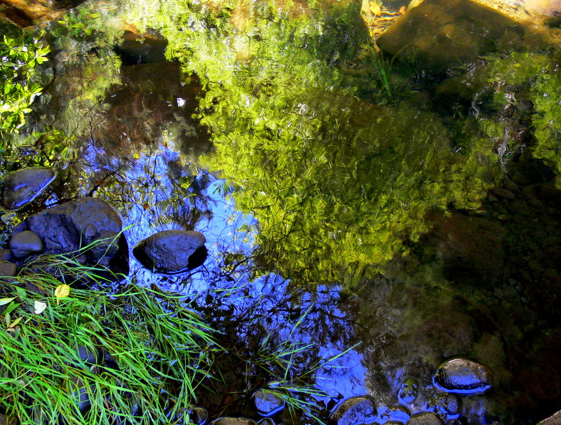 tropical reflections. 3