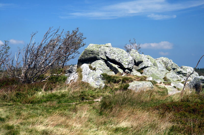 Vosges- Hautes chaumes.