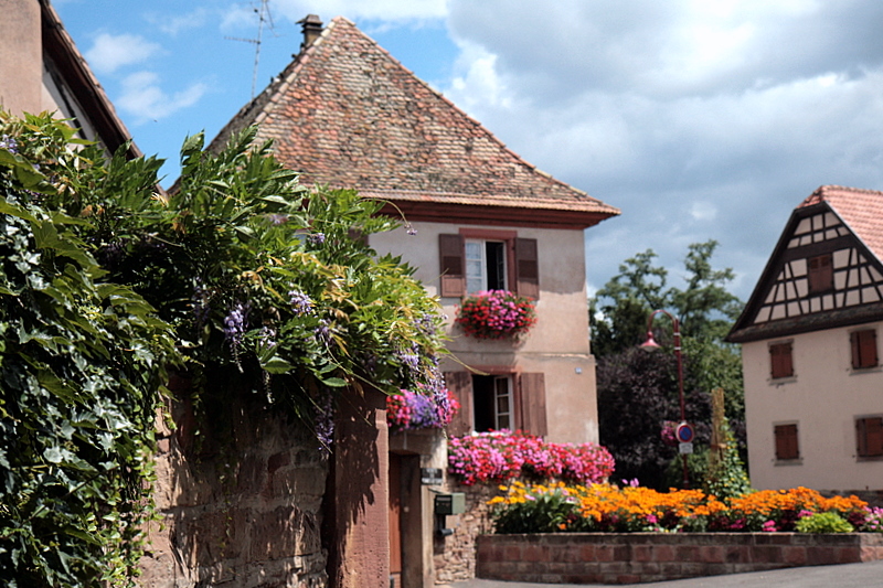 la maison fleurie.