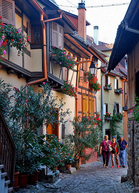 une ruelle d'Eguisheim