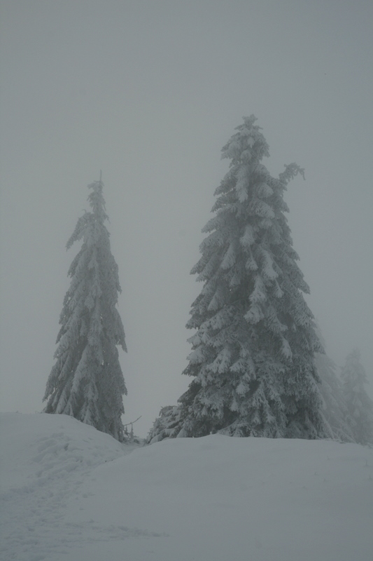 snow and fog.