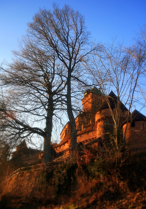 Haut-Koenigsbourg castle.