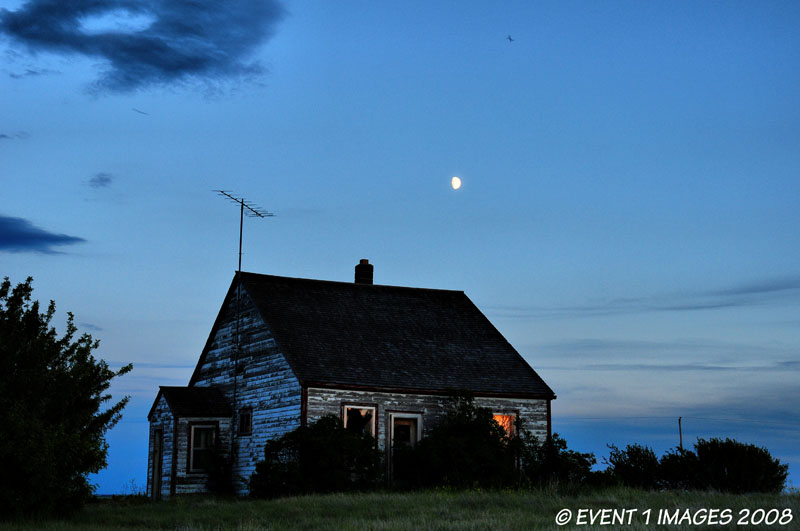 House, Moon & Bird