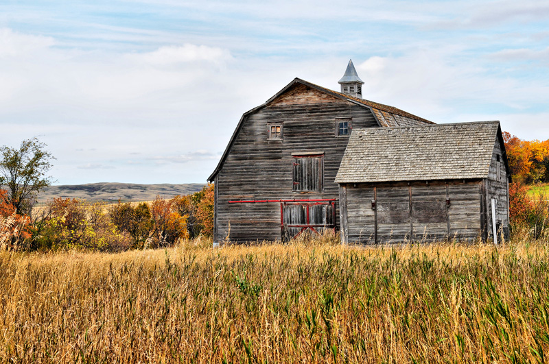 Fall  Barn and  Shed Crystal Hill SK.