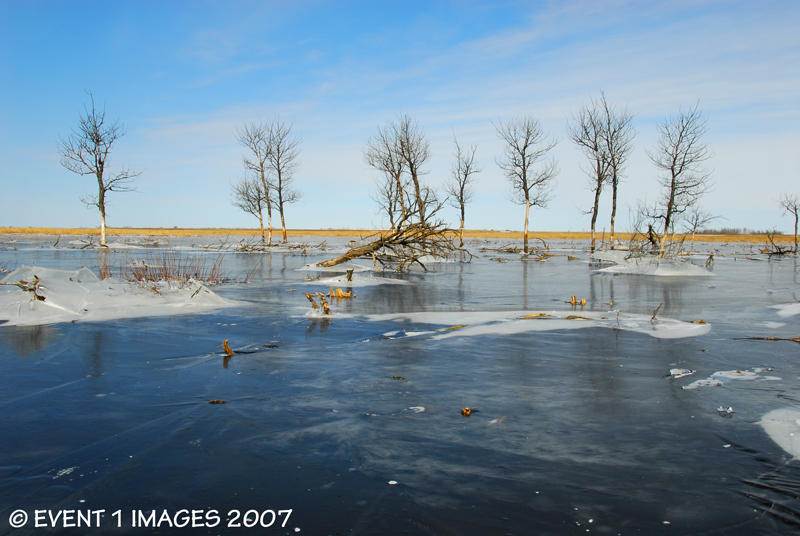 Ice Island