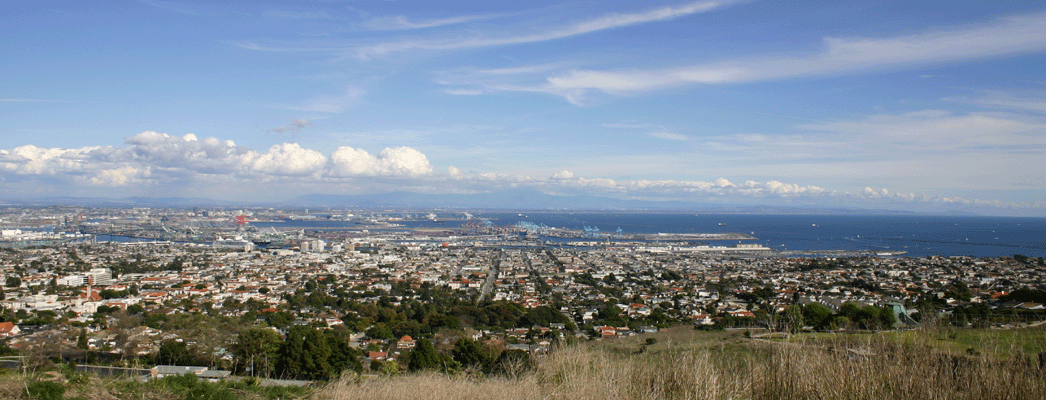 The view from the bluff