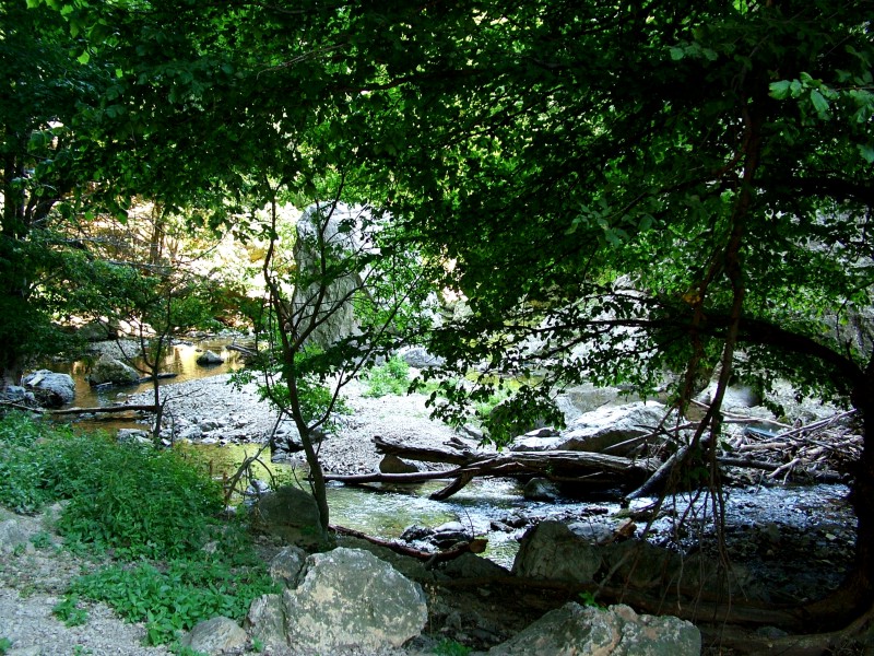 Vratna