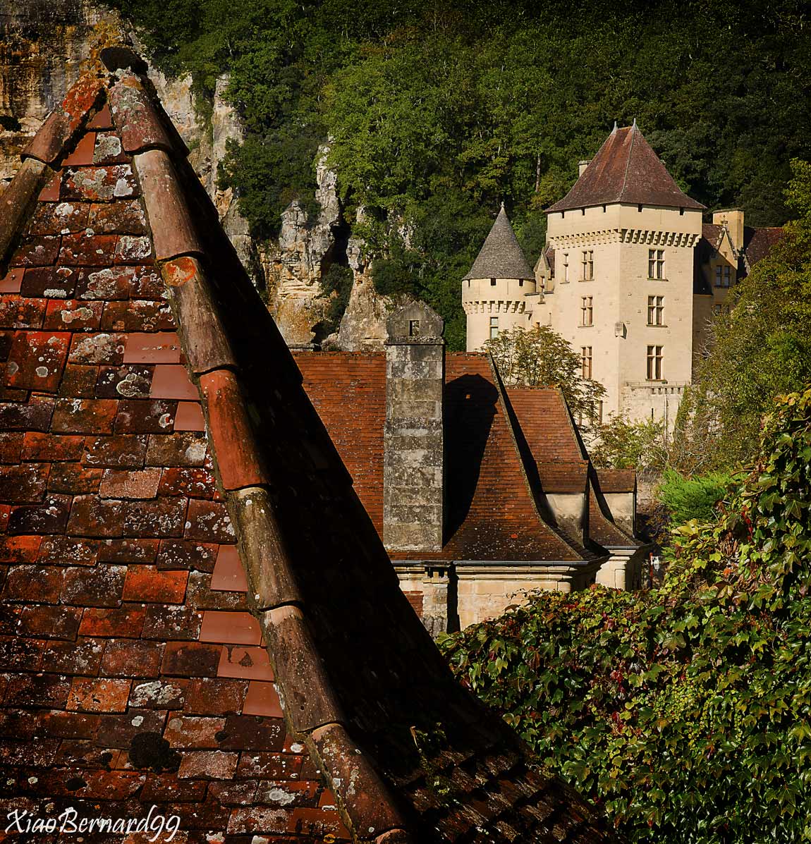 9.LA ROQUE GAGEAC. and its Private Castle