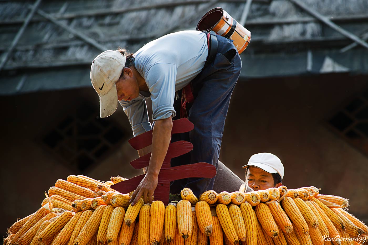 Ethnic Cultural Park.Harvest of the Corn I