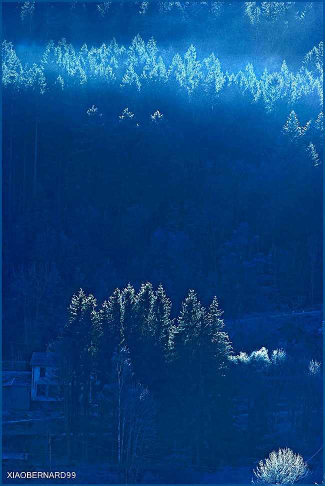 GERARDMER.FOREST COLD COLORS