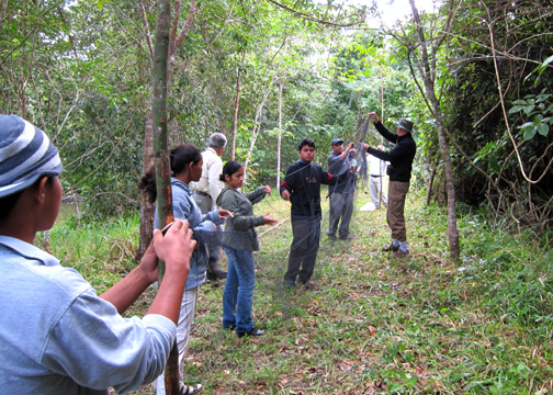 Setting up mist net.
