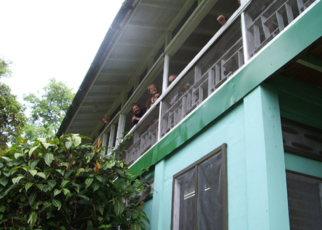 Asa Wright veranda