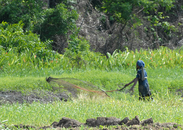 Fishing - Nariva Swamp