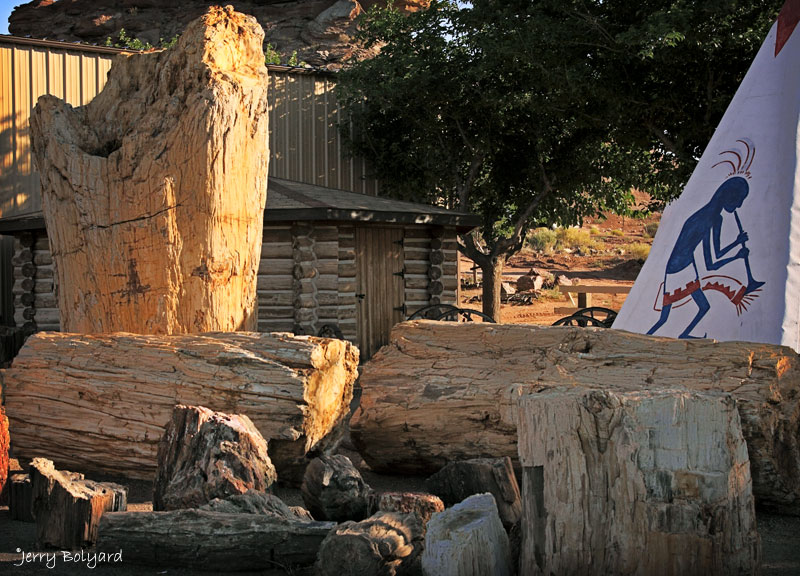 Geronimo Trading post west of Holbrook. Largest petrified tree on earth