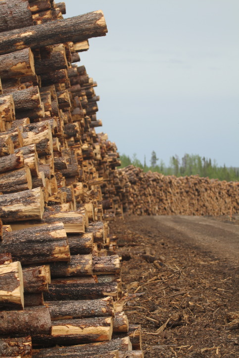 Logging industry Grand Cache AB (7).JPG