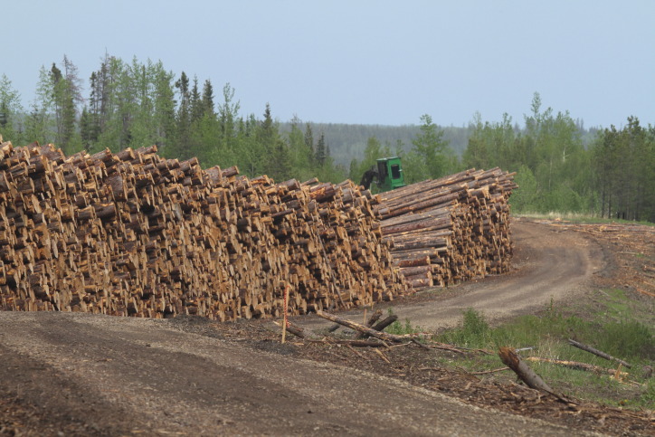 Logging industry Grand Cache AB (8).JPG