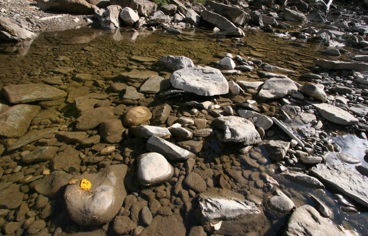 Wolf Creek trib to Cutbank River.JPG