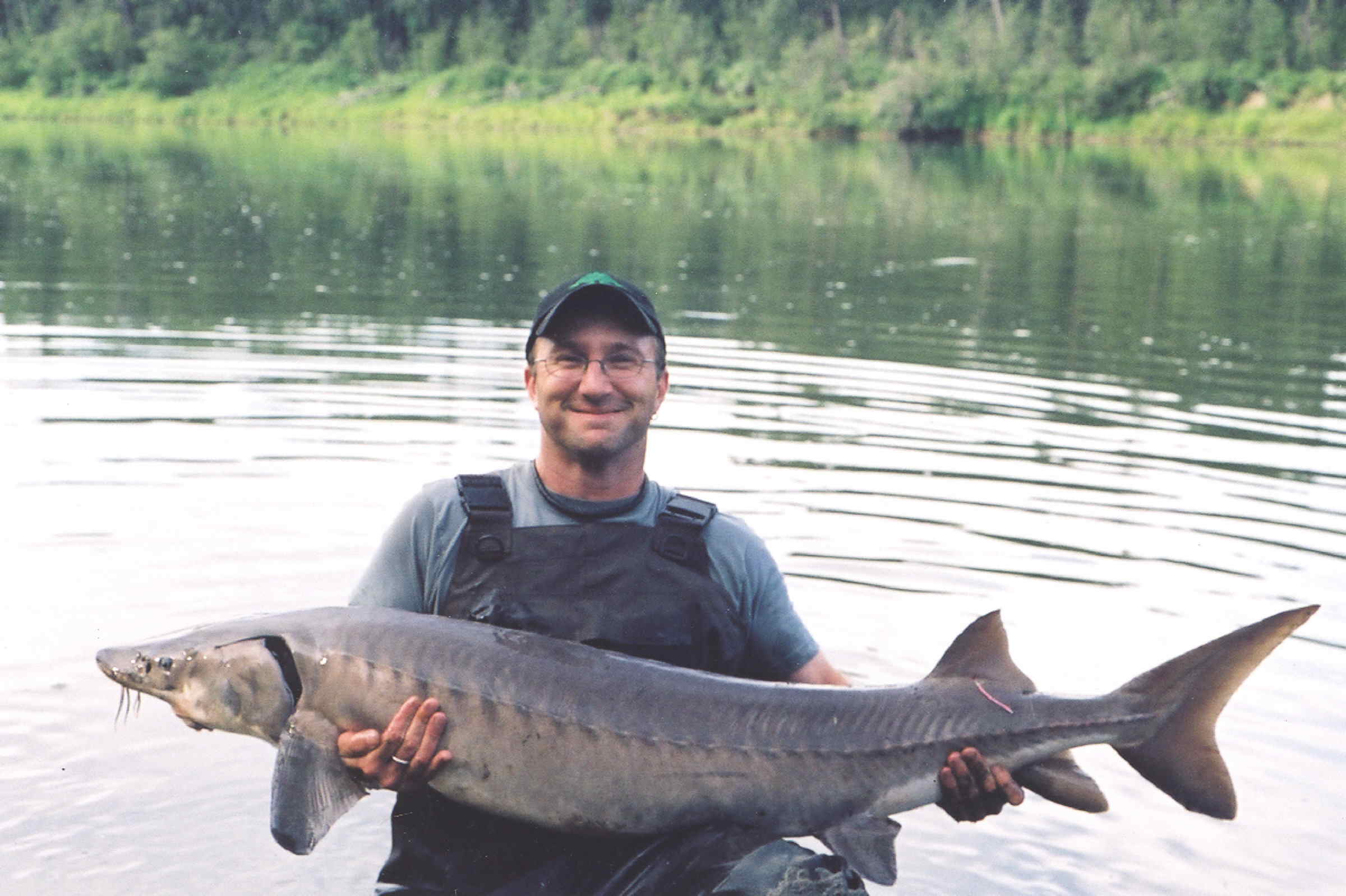sturgeon 49 lbs, North Saskatchewan River