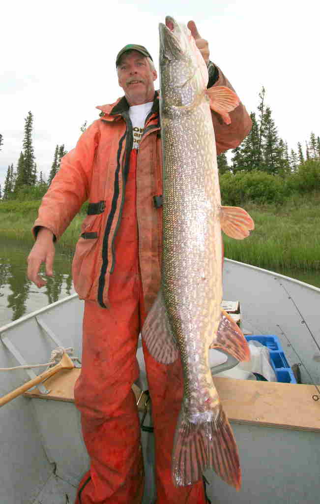 21 lb pike
