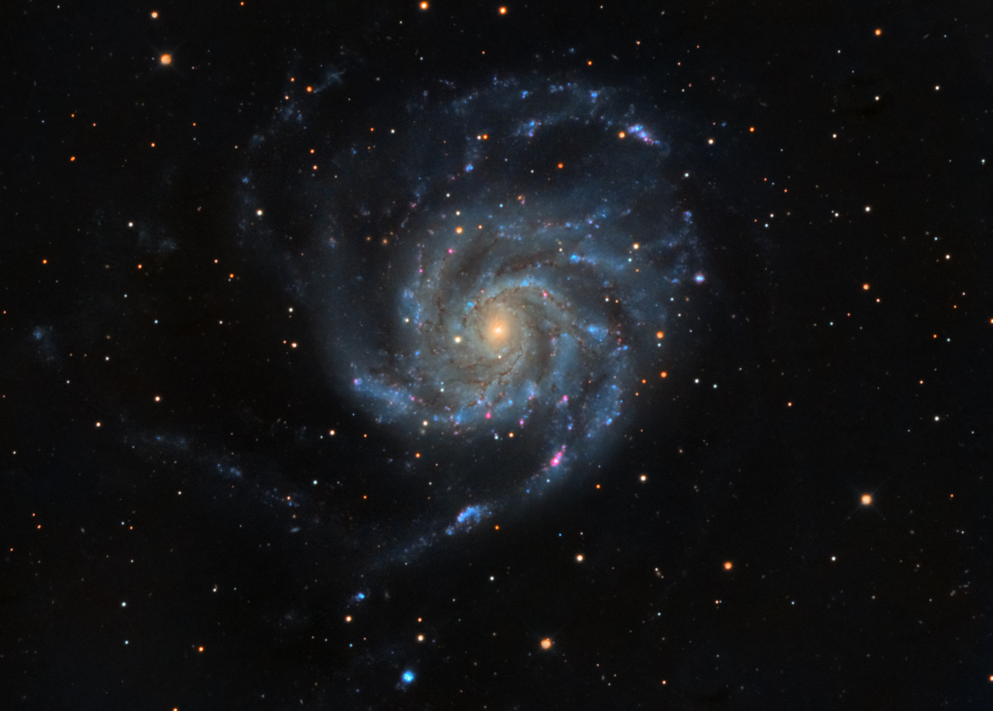 M101
